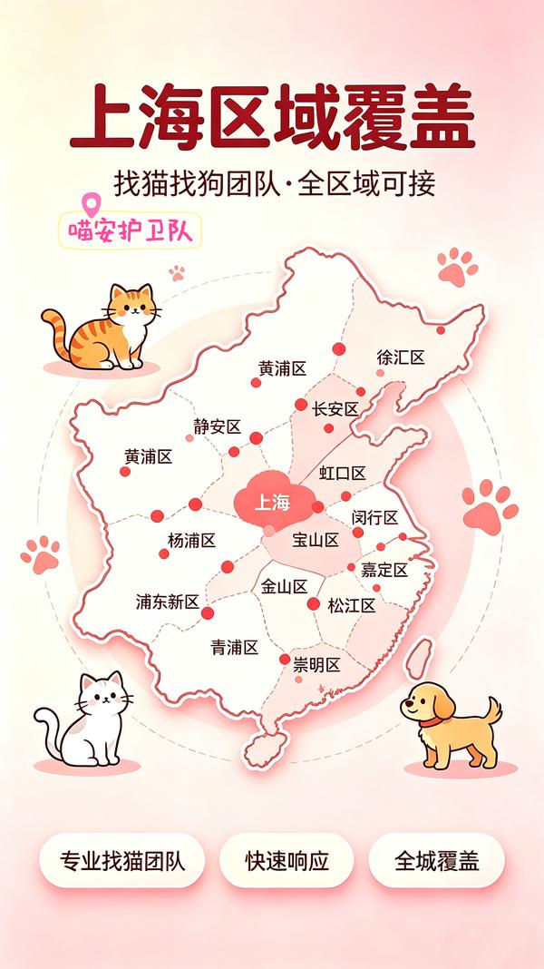 喵安护卫队团队工作场景