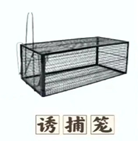 诱捕笼