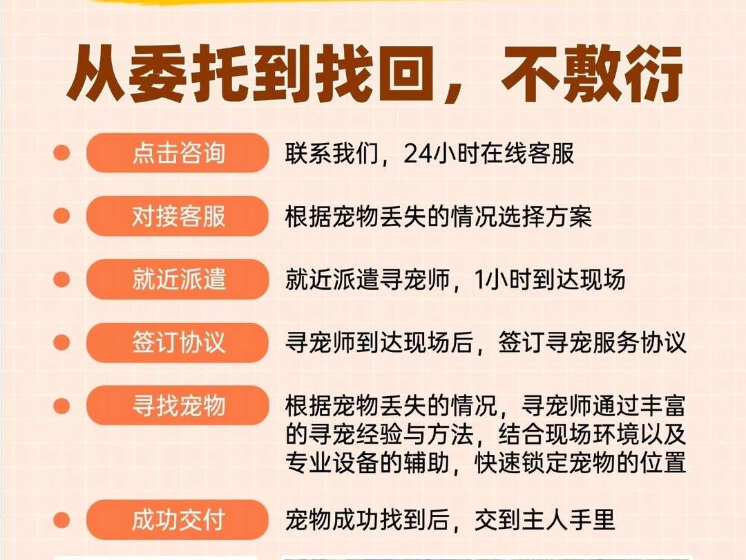 喵安护卫队上海服务区域