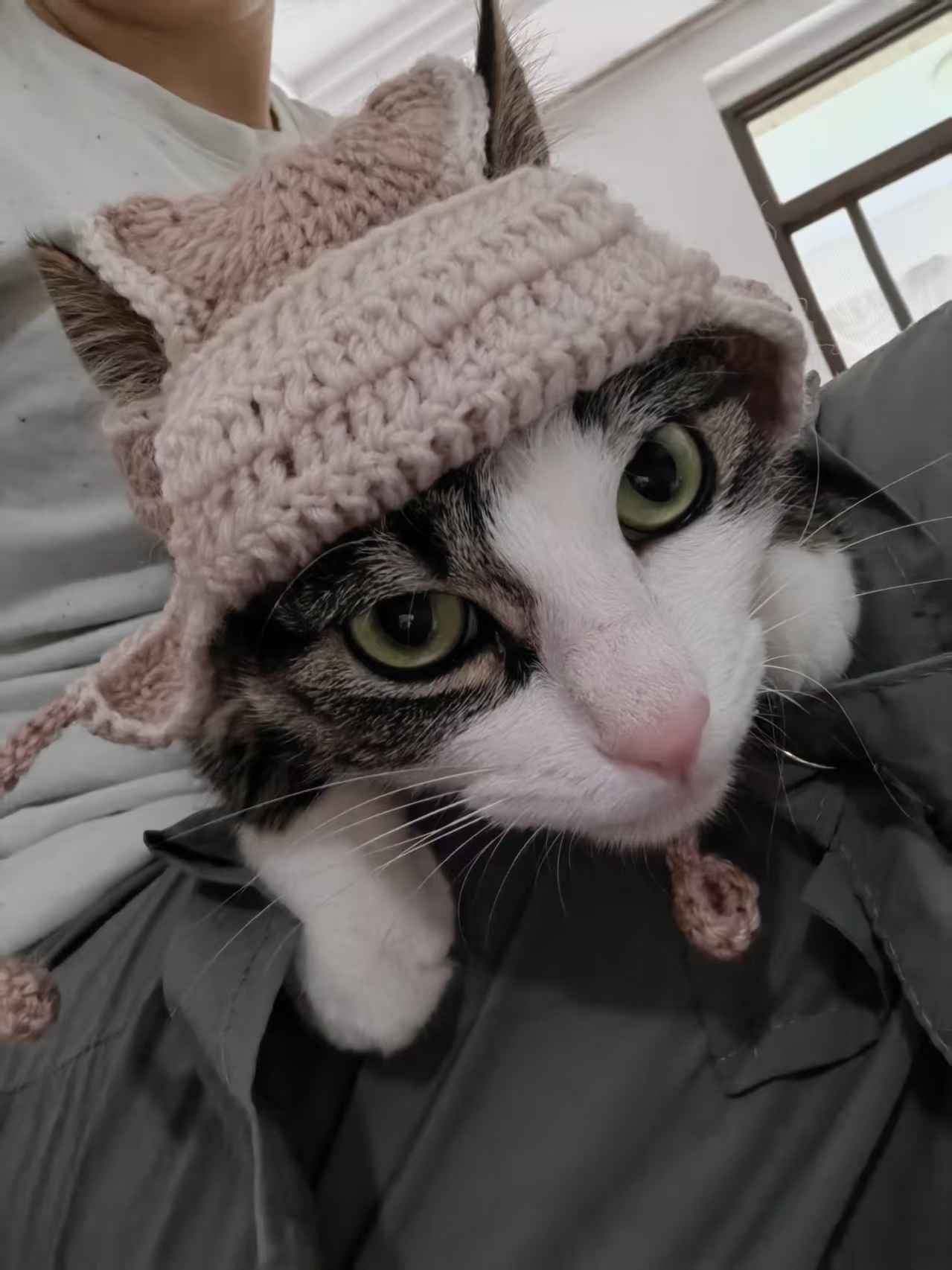 救援服务